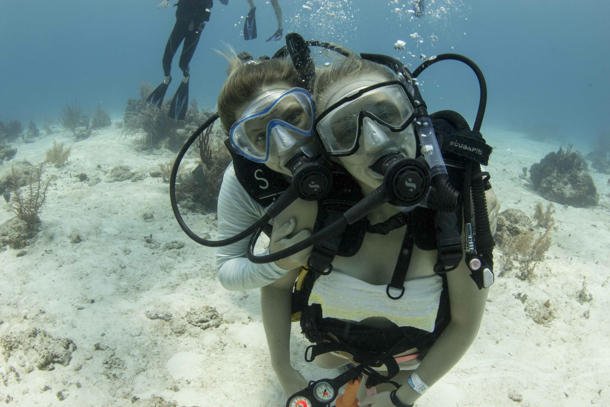 Frequently Asked Questions About Scuba Diving