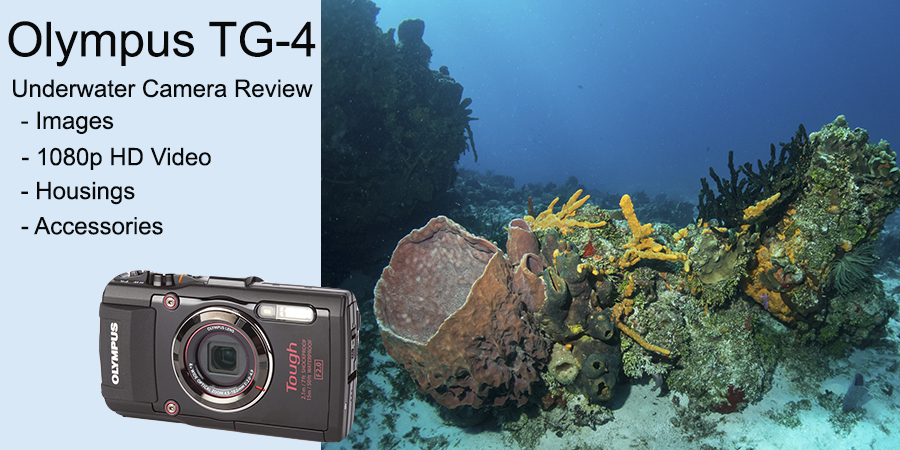 Olympus TG-4 review banner