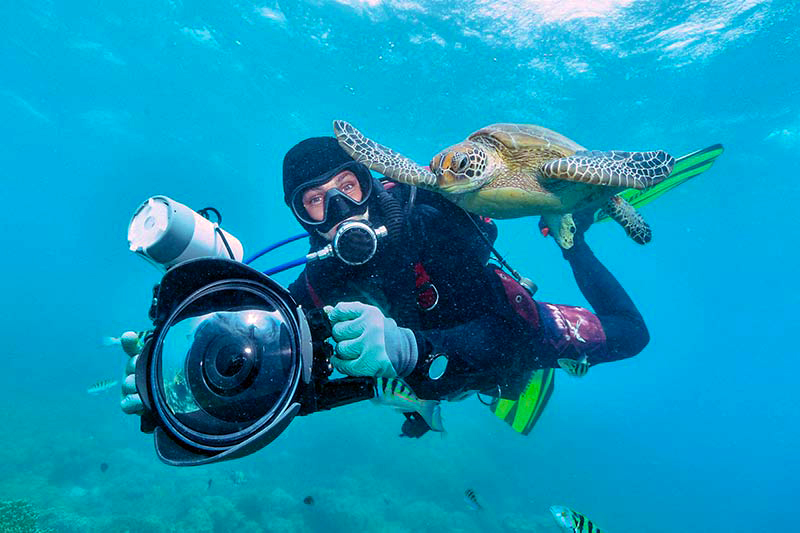 underwater-photographer-101